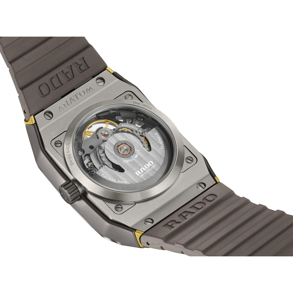 Anatom Automatic Skeleton