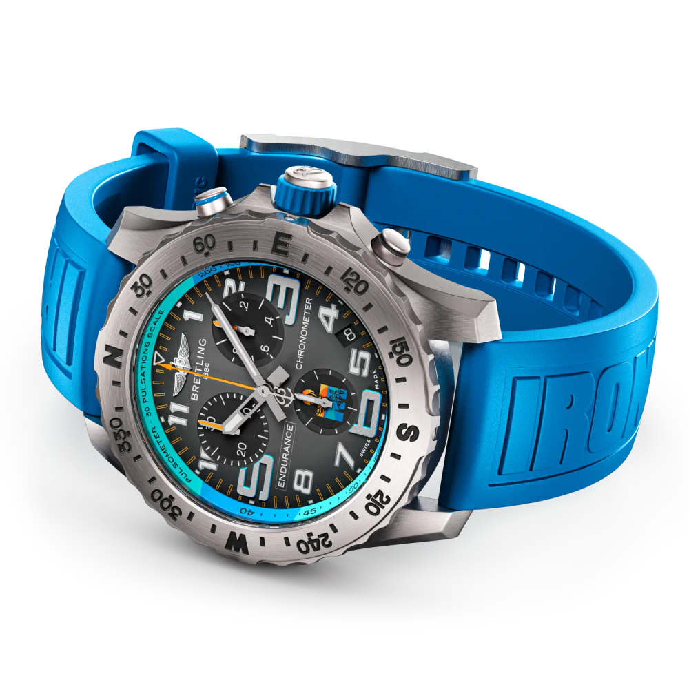Professional Endurance Pro IRONMAN® World Championship 2025