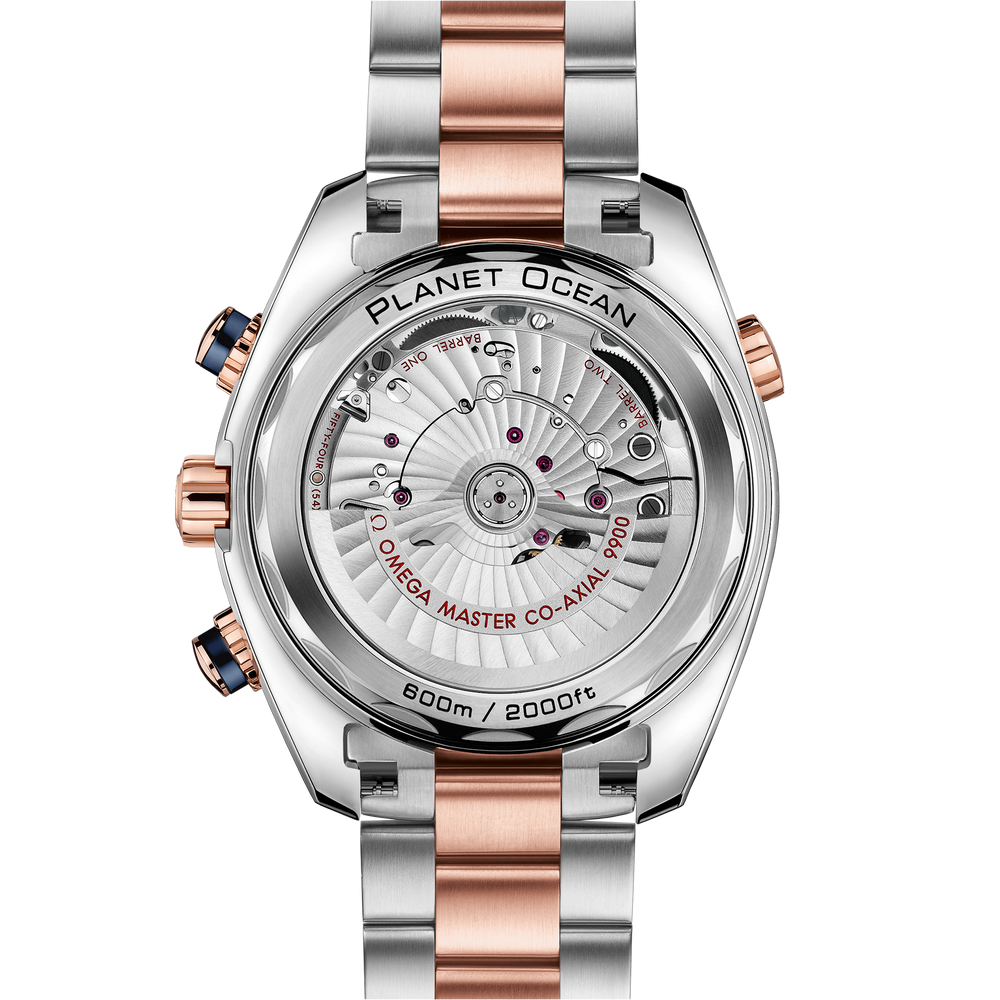 Seamaster Planet Ocean 600M 45,5 mm