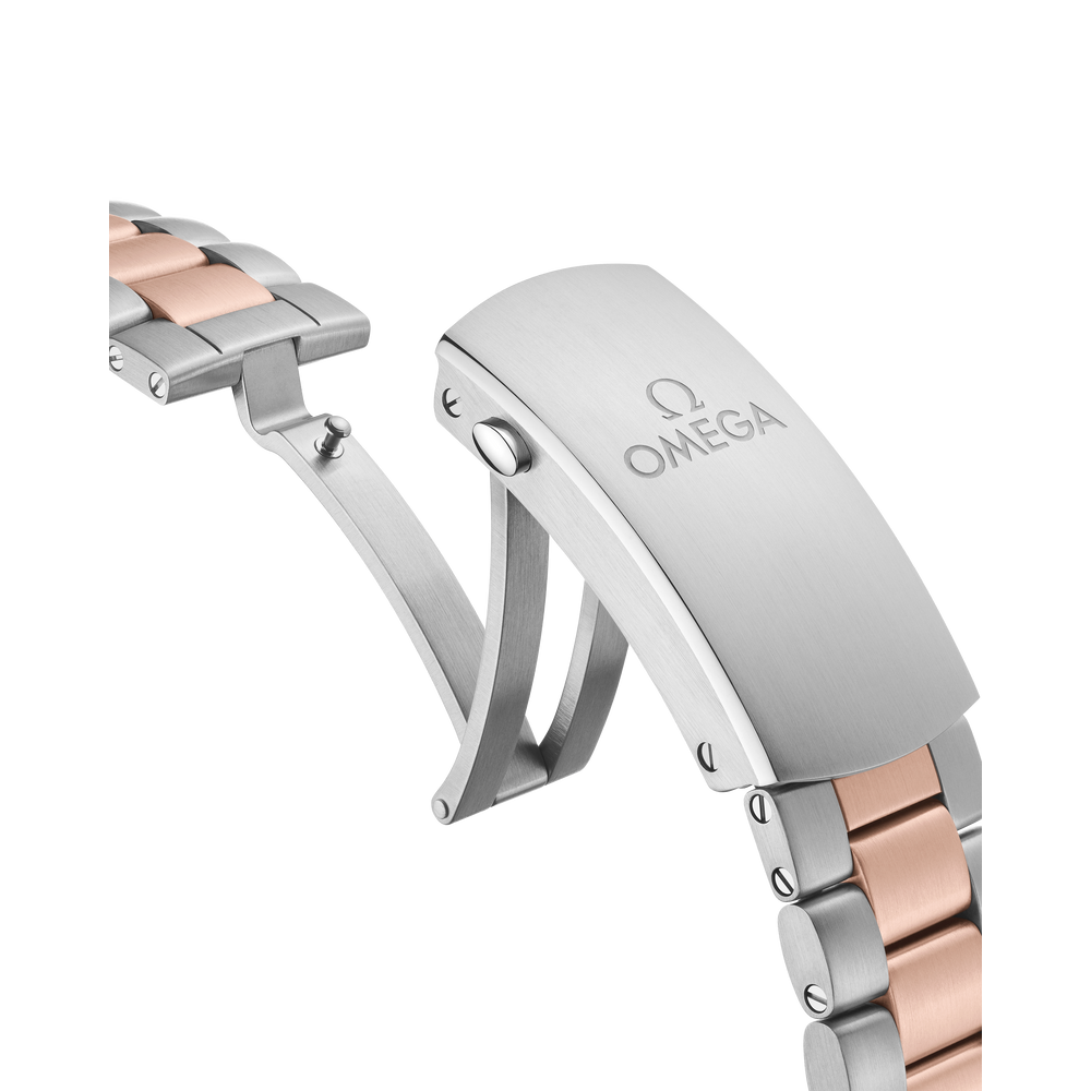 Seamaster Planet Ocean 600M 45,5 mm