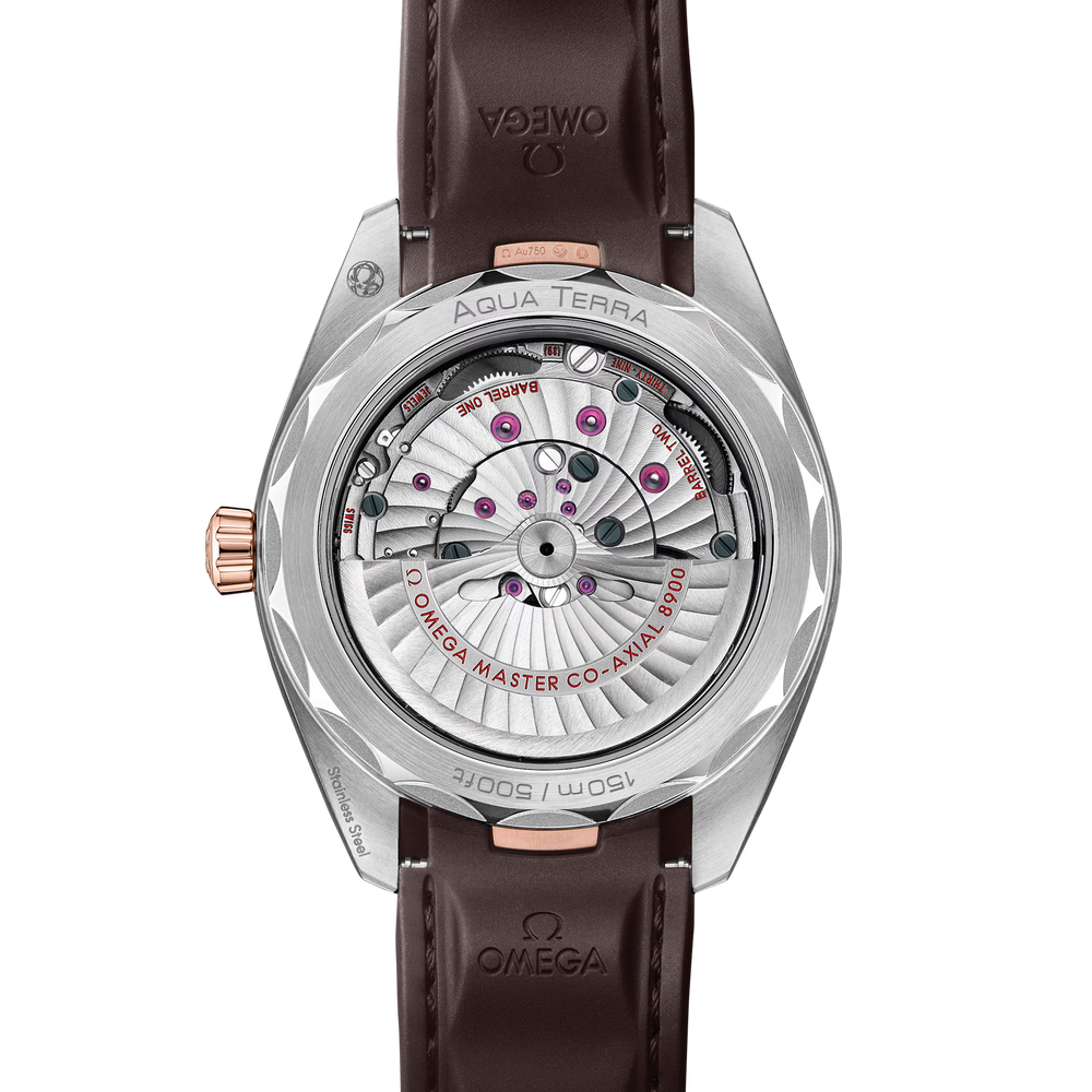 Seamaster Aqua Terra 150M 41 mm