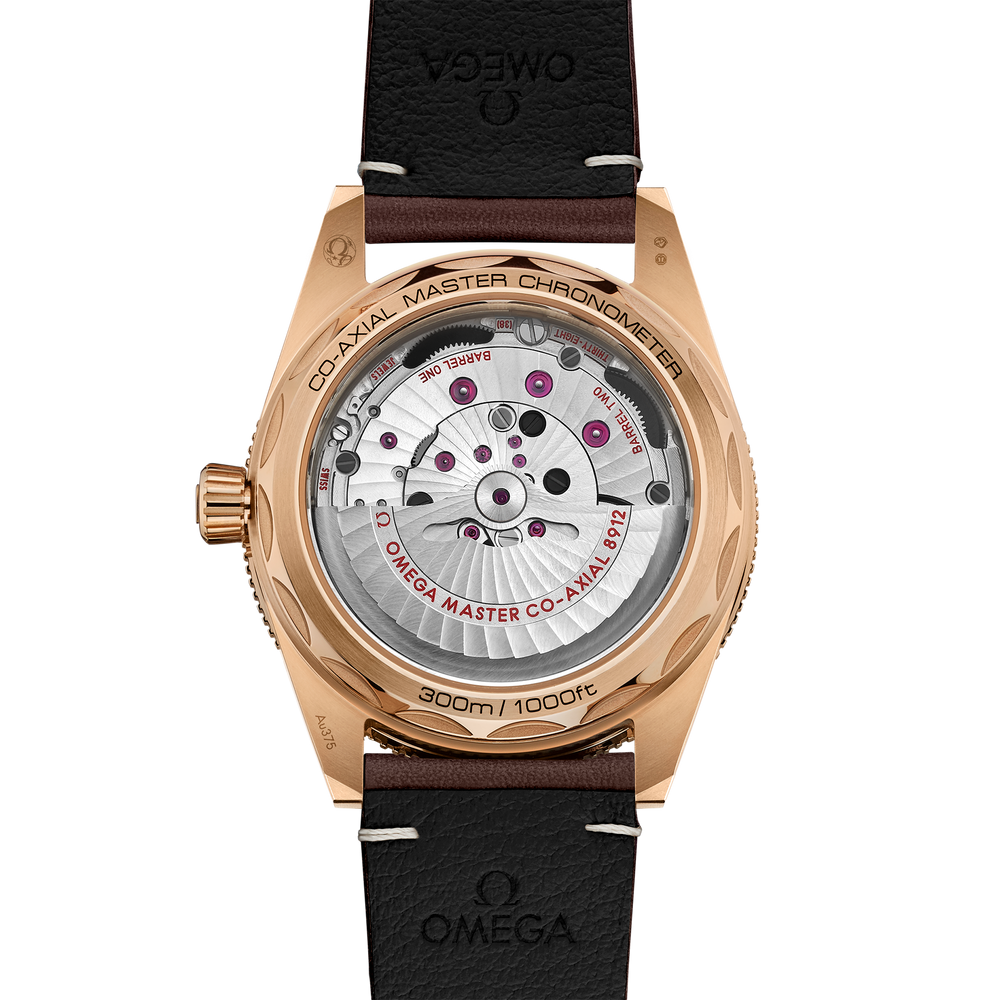Seamaster 41 mm