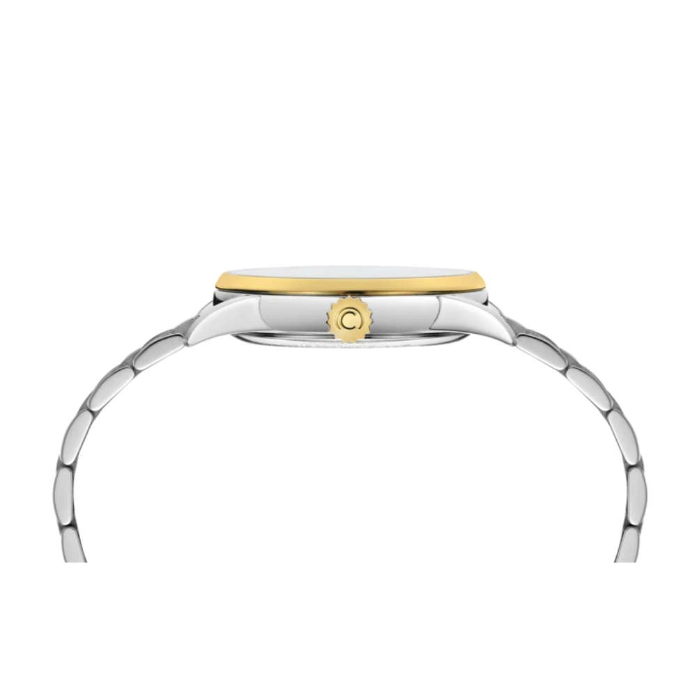 DS-1 38mm