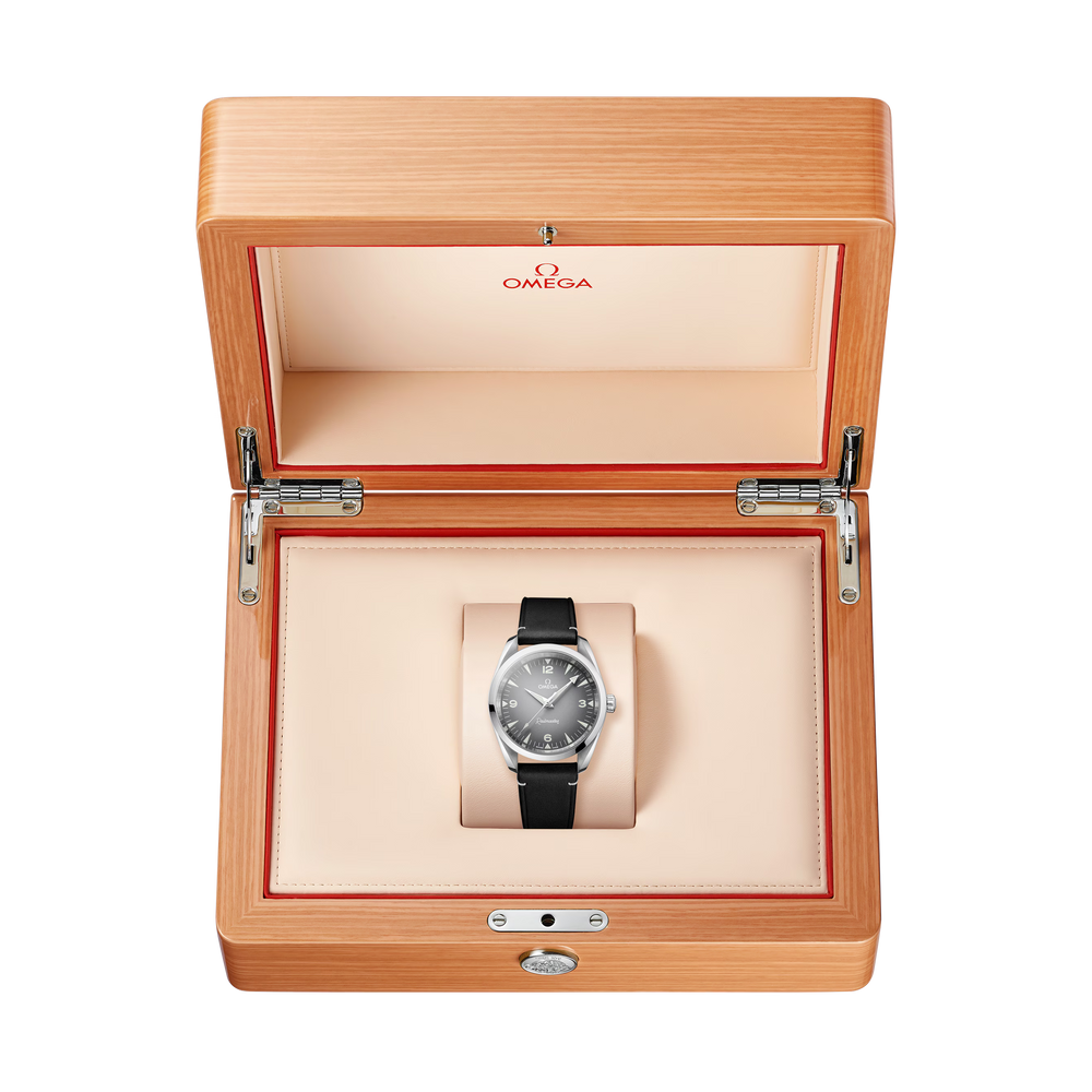 Seamaster Railmaster 38 mm