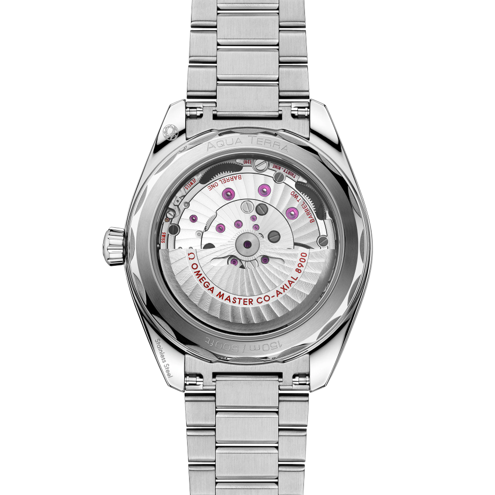 Seamaster Aqua Terra 150M 41 mm