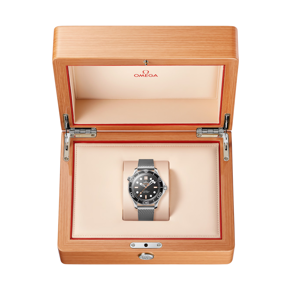 Seamaster Diver 300M 42 mm