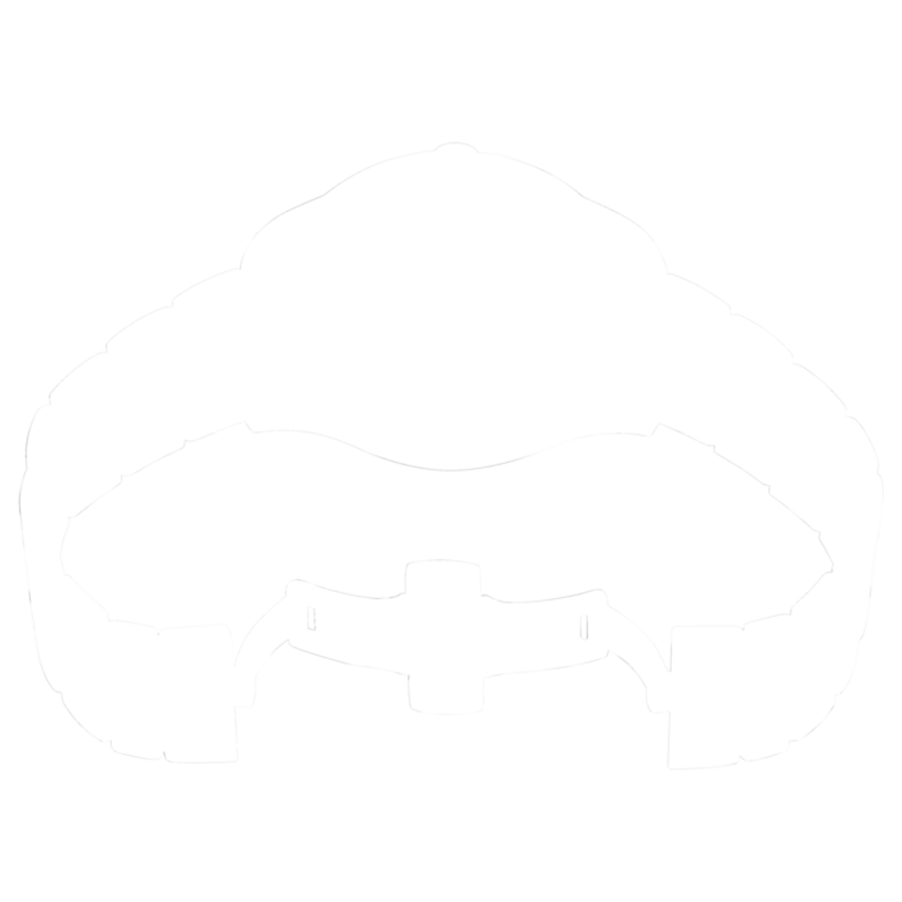 DS-8 Powermatic 80 40.5mm