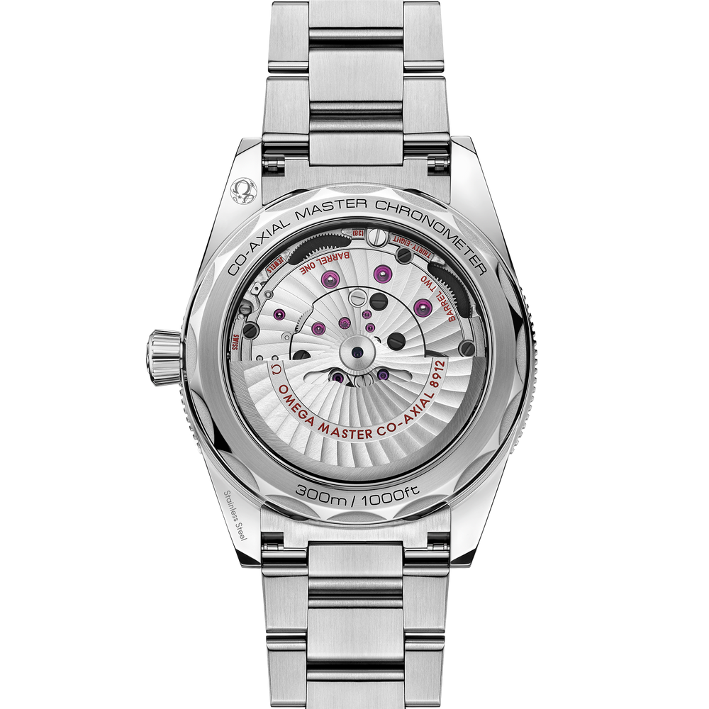 Seamaster 41 mm